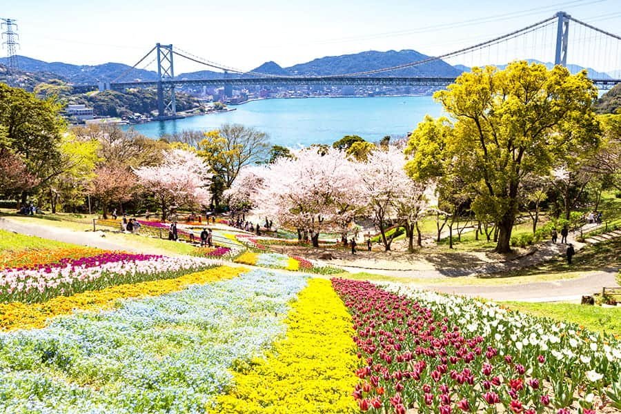 🏞️ 불의 산 공원(히노야마 코엔) 이미지 5